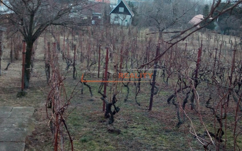 NOVÁ CENA Vinohrad – pozemok Z.Šírava – Lúč