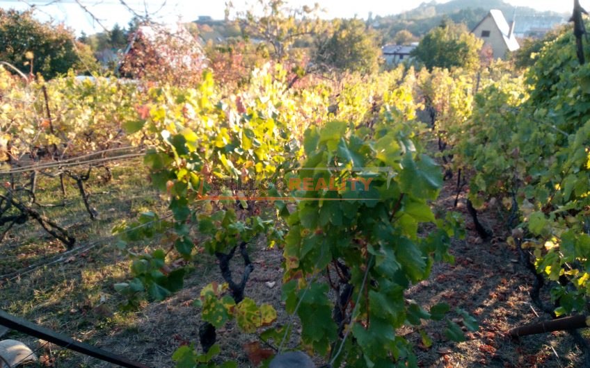 NOVÁ CENA Vinohrad – pozemok Z.Šírava – Lúč